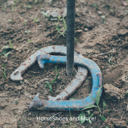 Expert Tips for Beginners: Elevate Your Horseshoe Game