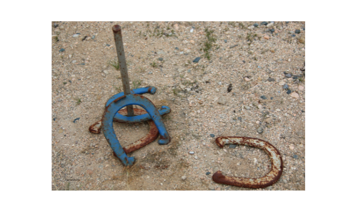 Playing horseshoe set